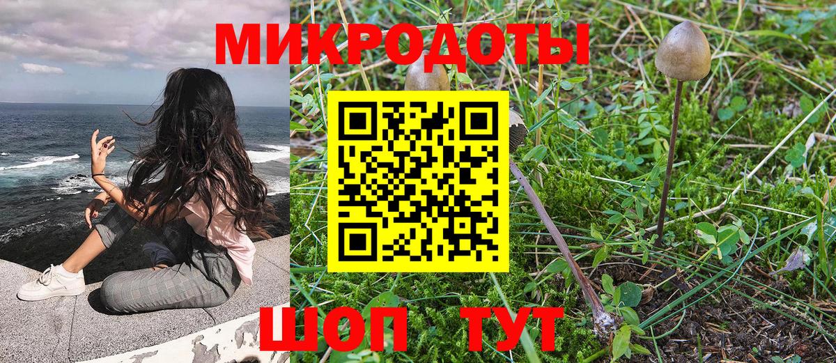 Галлюциногенные грибы Psilocybine cubensis Усть-Илимск
