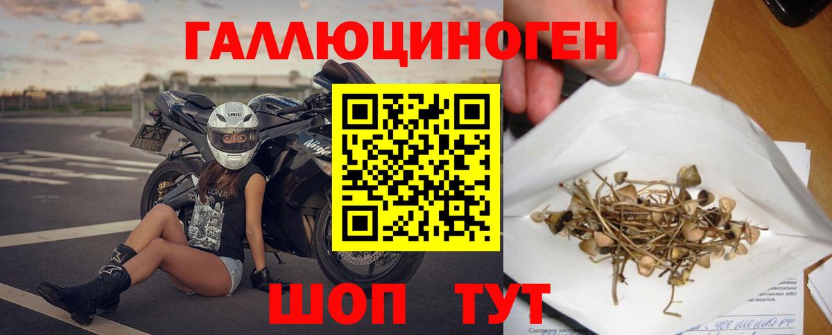 Псилоцибиновые грибы Magic Shrooms  Вход с VPN  Усть-Илимск  Галлюциногенные грибы Psilocybe 